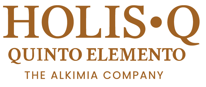 Holis-Q Logo